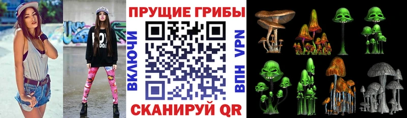Псилоцибиновые грибы GOLDEN TEACHER  Бавлы 
