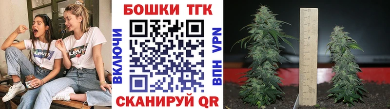 Каннабис сатива  Бавлы 